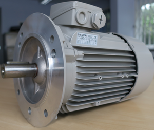 Custom Motor Solutions